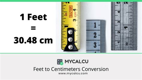 8尺 to cm|8 Feet to Centimeters Conversion